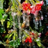 dscn8551