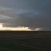 2006
