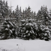dsc_1055-1