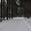 dsc_1057-1