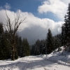 dsc_1067-1