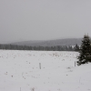 dsc_1140-1