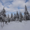 dsc_1255-1