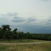 img_6141 img_6141
