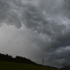 dsc_3559 dsc_3559