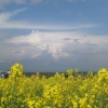 SAMSUNG CAMERA PICTURES