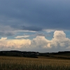 dsc_0163 dsc_0163
