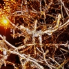 dscn8462