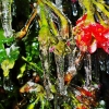 dscn8552