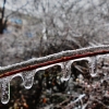 dscn8558