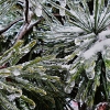 dscn8567