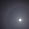 dsc_0988 dsc_0988