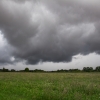img_8084 img_8084