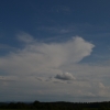 dsc_5037 dsc_5037
