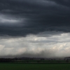 dsc_9923 dsc_9923