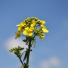 054