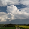 dsc_0300 dsc_0300
