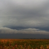 dsc_0219 dsc_0219