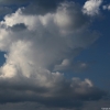 img_6291 img_6291