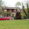 img_3600 img_3600