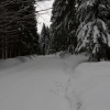 dsc_1104-1